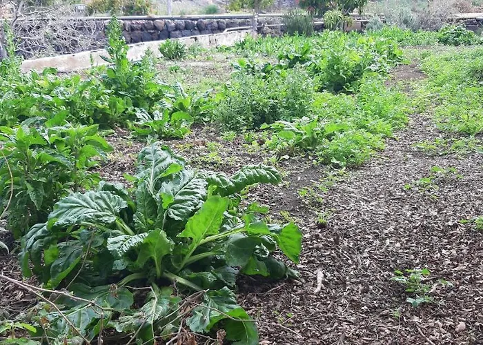 Vakantieboerderij Dulces *