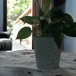 Dulces Vakantieboerderij