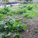 Vakantieboerderij Dulces *