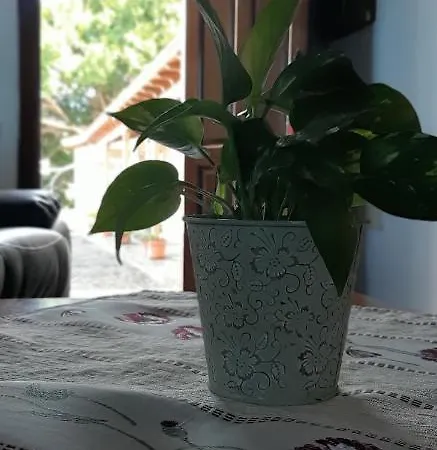 Dulces Фермерский дом