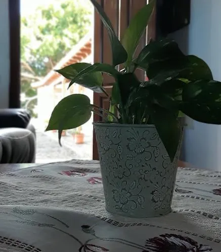 Dulces Фермерский дом