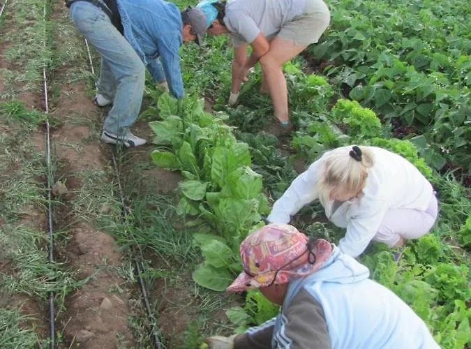 Dulces 팜스테이 Chío