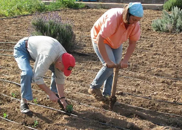 Фермерский дом Dulces *
