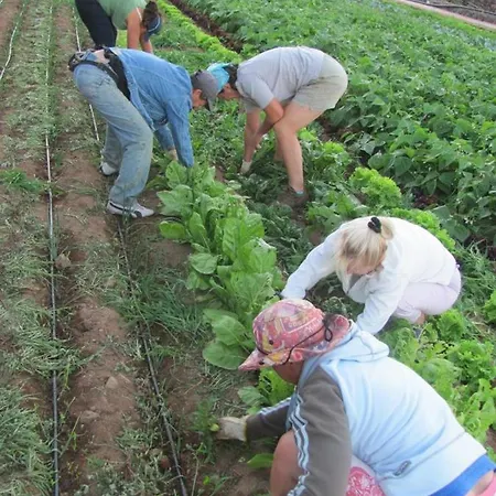 Dulces בית חווה Chío