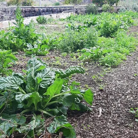 בית חווה Dulces *